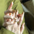 12 Sizes-24 Pcs Press On Nails JP783