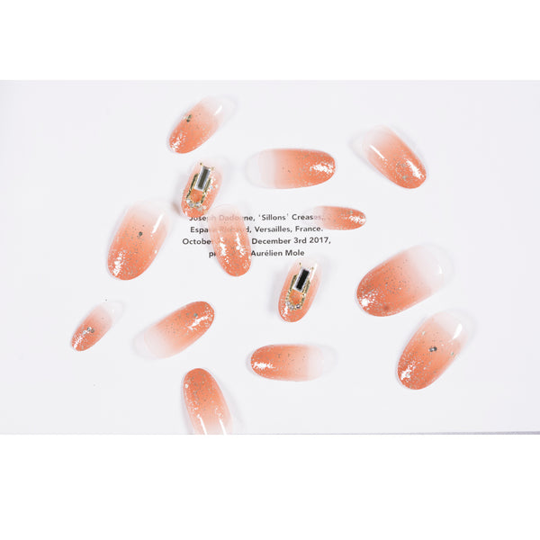 12 Sizes-24 Pcs Press On Nails JP820