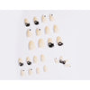 12 Sizes-24 Pcs Press On Nails JP907