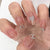 12 Sizes-24 Pcs Press On Nails JP1050