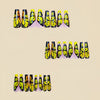 12 Sizes-24 Pcs Press On Nails Y755