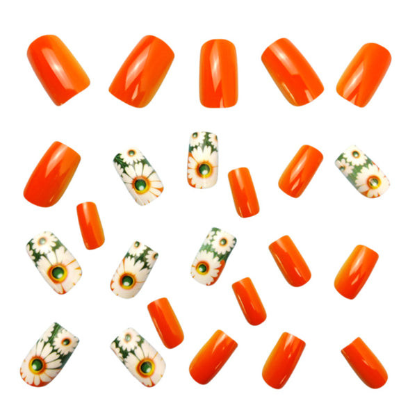 12 Sizes-24 Pcs Press On Nails Y543