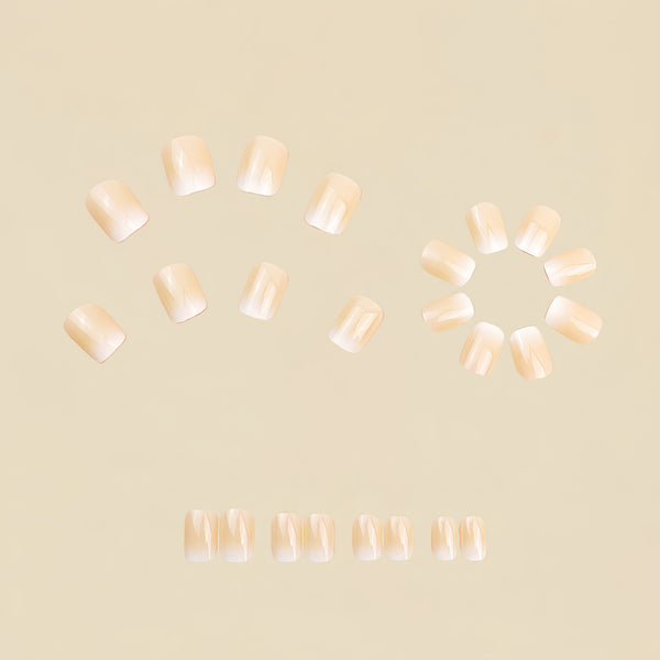 12 Sizes-24 Pcs Press On Nails Y779
