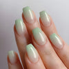 12 Sizes-24 Pcs Press On Nails Y047