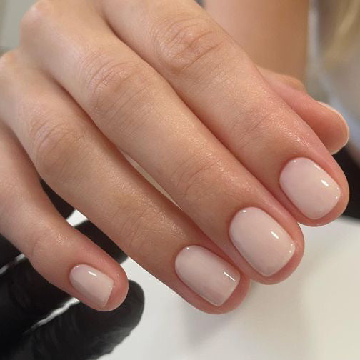 12 Sizes-24 Pcs Press On Nails JP2636