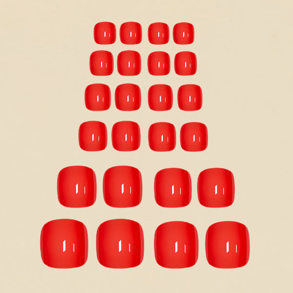 12 Sizes-24 Pcs Press On Nails Y1119