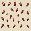 12 Sizes-24 Pcs Press On Nails Y229