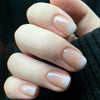 12 Sizes-24 Pcs Press On Nails Y779