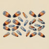 12 Sizes-24 Pcs Press On Nails Y1558