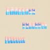 12 Sizes-24 Pcs Press On Nails Y1074