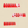 12 Sizes-24 Pcs Press On Nails Y509