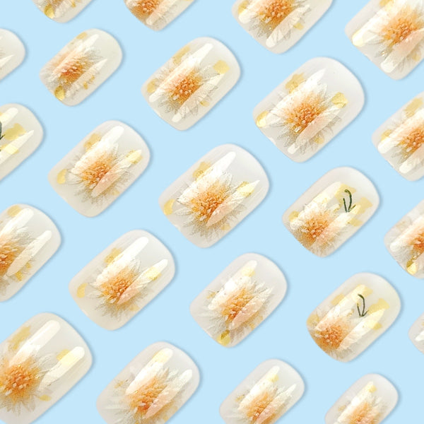 12 Sizes-24 PcsPress On NailsDY1743-K2-B7