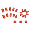 12 Sizes-24 Pcs Press On Nails CF009