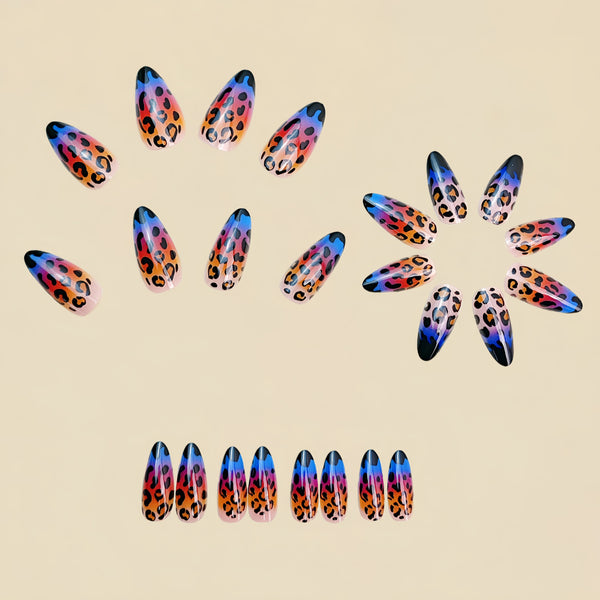 12 Sizes-24 Pcs Press On Nails Y963