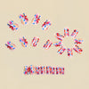 12 Sizes-24 Pcs Press On Nails Y1732