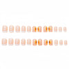 12 Sizes-24 Pcs Press On Nails Y093