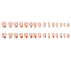 30 Pcs Press On Nails W1573