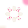 12 Sizes-24 Pcs Press On Nails C906