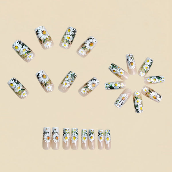 12 Sizes-24 Pcs Press On Nails y2087-24