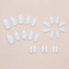 12 Sizes-24 Pcs Press On Nails CF061