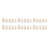 30 Pcs Press On Nails MY210
