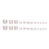 12 Sizes-24 Pcs Press On Nails F195