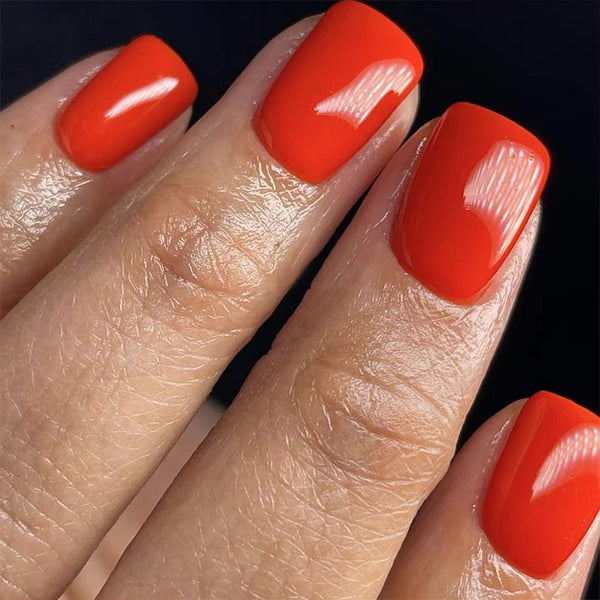 12 Sizes-24 Pcs Press On Nails C334