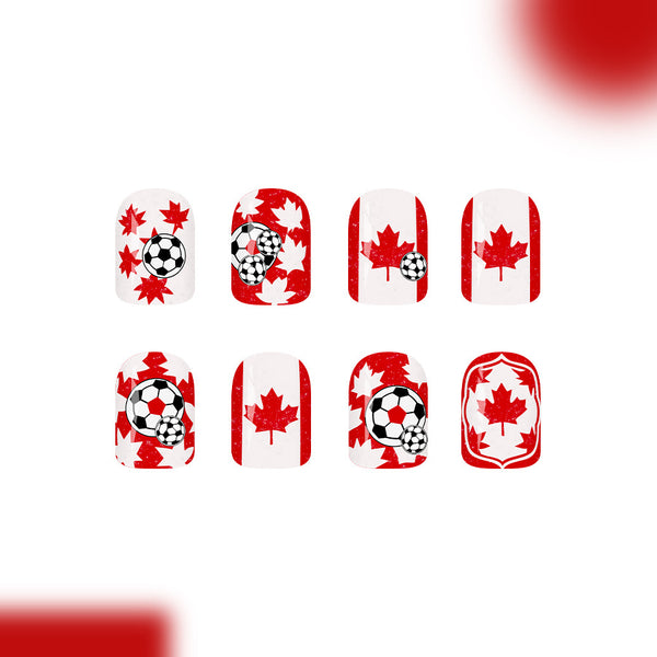 12 Sizes-24 Pcs Press On Nails C1659