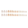 12 Sizes-24 Pcs Press On Nails W1642