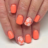 12 Sizes-24 Pcs Press On Nails C834
