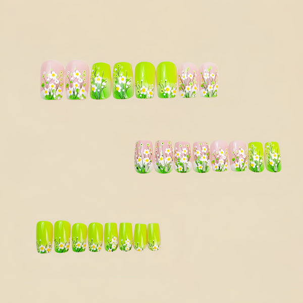 12 Sizes-24 Pcs Press On Nails Y873