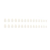 30 Pcs Press On Nails W1509
