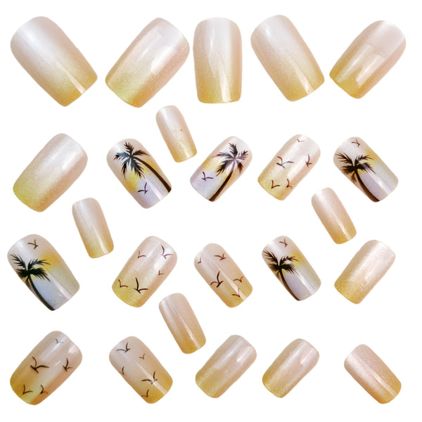 12 Sizes-24 Pcs Press On Nails Y1388