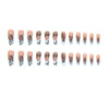 12 Sizes-24 Pcs Press On Nails W491