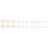 12 Sizes-24 Pcs Press On Nails F103