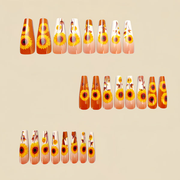 12 Sizes-24 Pcs Press On Nails Y542