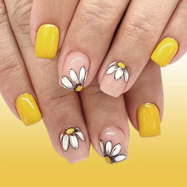 12 Sizes-24 Pcs Press On Nails C802