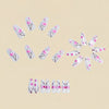 12 Sizes-24 Pcs Press On Nails Y1994
