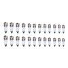 12 Sizes-24 Pcs Press On Nails W809