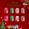 12 Sizes-24 Pcs Press On Nails C651