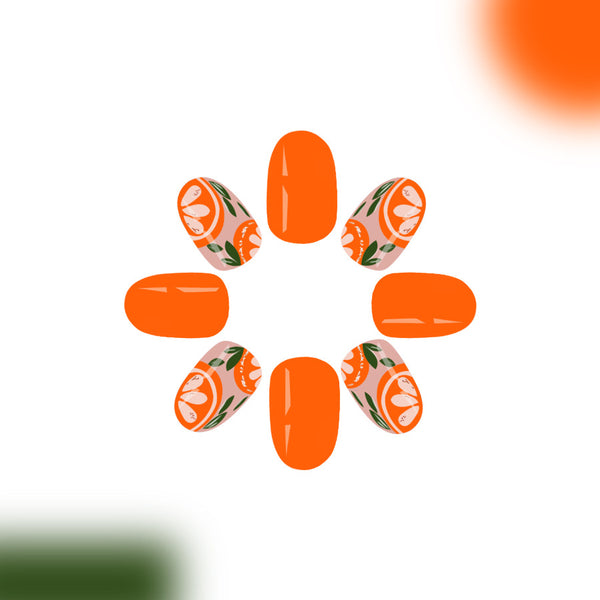 12 Sizes-24 PcsPress On Nails C844