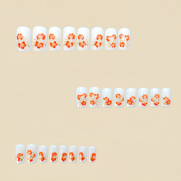 12 Sizes-24 Pcs Press On Nails Y530