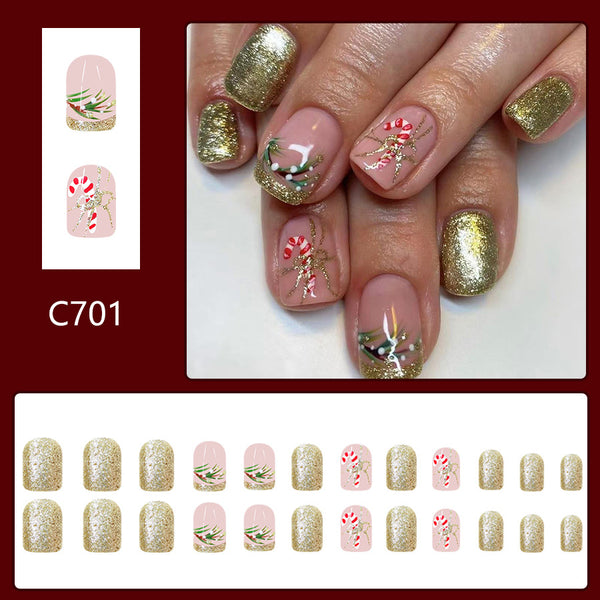 12 Sizes-24 Pcs Press On Nails C701