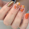 12 Sizes-24 Pcs Press On Nails C608