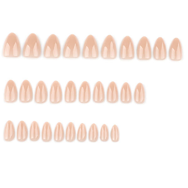 12 Sizes-24 Pcs Press On Nails JP4059