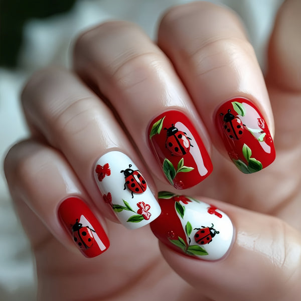 12 Sizes-24 Pcs Press On Nails Y1160