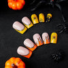 12 Sizes-24 Pcs Press On Nails W842