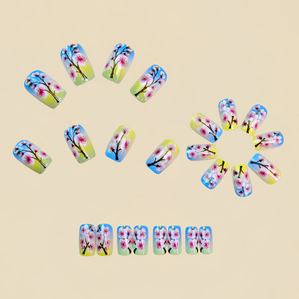 12 Sizes-24 Pcs Press On Nails Y1772