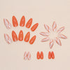 12 Sizes-24 Pcs Press On Nails W613