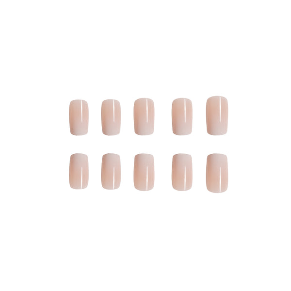 12 Sizes-24 Pcs Press On Nails C240